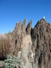 PICTURES/Go John Trail - Cave Creek/t_101_0120.JPG